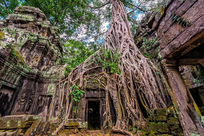 Ta Prohm temple - the scenery of the Tomb Raider film